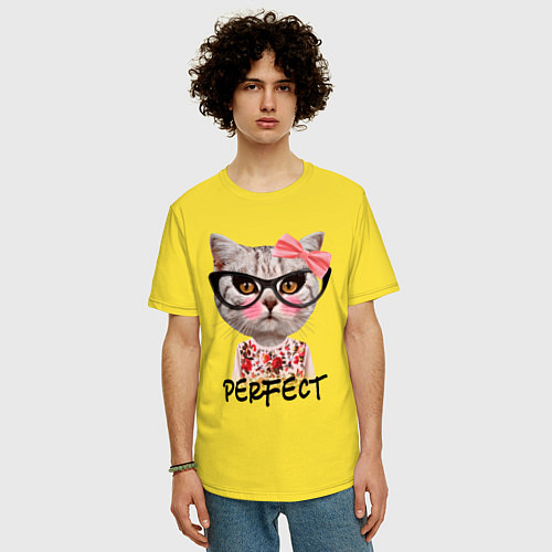 Мужская футболка оверсайз Perfect Kitty / Желтый – фото 3