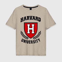 Мужская футболка оверсайз Harvard University