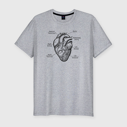Мужская slim-футболка Схема сердца / Меланж – фото 1