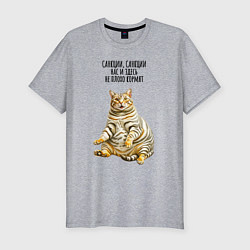 Футболка slim-fit Санкции нас здесь не плохо кормят - котэ, цвет: меланж