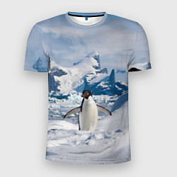 Футболка спортивная мужская Пингвин в горах, цвет: 3D-принт