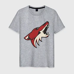 Футболка хлопковая мужская Phoenix Coyotes, цвет: меланж