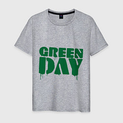 Футболка хлопковая мужская Green Day, цвет: меланж