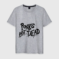 Футболка хлопковая мужская Punks not dead, цвет: меланж