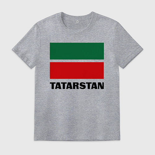 Мужская футболка Флаг Татарстана / Меланж – фото 1