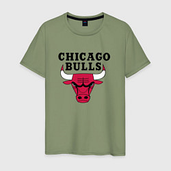 Футболка хлопковая мужская Chicago Bulls, цвет: авокадо