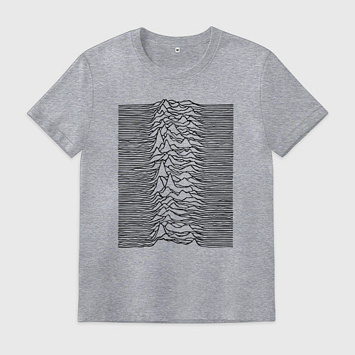 Мужская футболка Unknown Pleasures / Меланж – фото 1