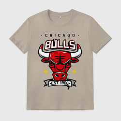 Футболка хлопковая мужская Chicago Bulls est. 1966, цвет: миндальный