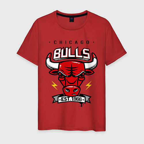 Мужская футболка Chicago Bulls est. 1966 / Красный – фото 1