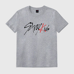 Футболка хлопковая мужская STRAY KIDS BANGCHAN, цвет: меланж
