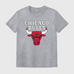 Футболка хлопковая мужская CHICAGO BULLS, цвет: меланж