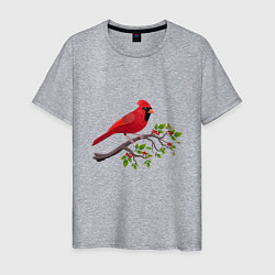Футболка хлопковая мужская Красный кардинал, цвет: меланж