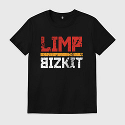 Футболка хлопковая мужская LIMP BIZKIT, цвет: черный