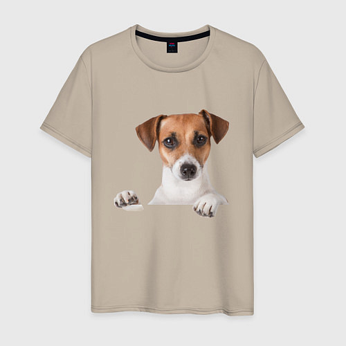 Мужская футболка Собака / Миндальный – фото 1