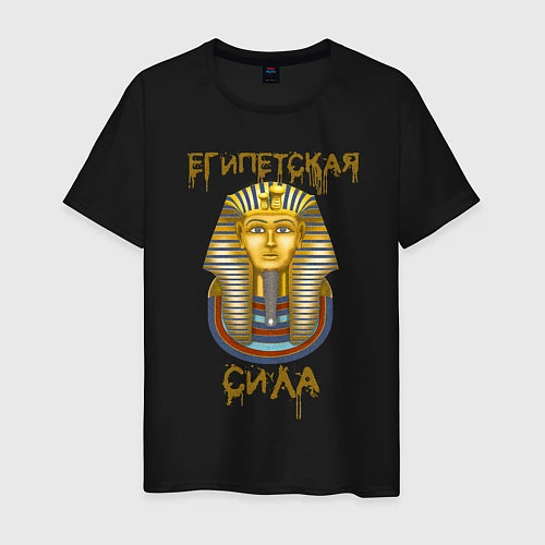 Мужская футболка Египетская Сила / Черный – фото 1
