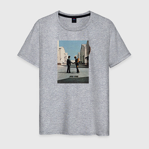 Мужская футболка Pink Floyd / Меланж – фото 1