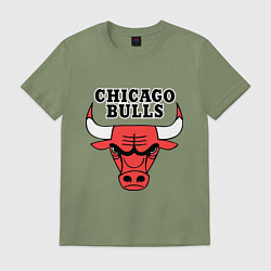 Футболка хлопковая мужская Chicago Bulls, цвет: авокадо