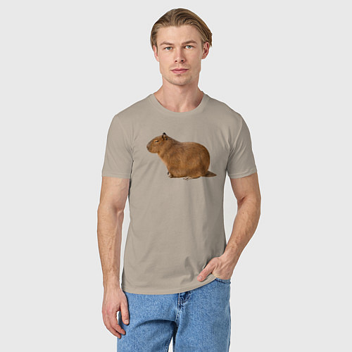 Мужская футболка Капибара сидит и спит / Миндальный – фото 3