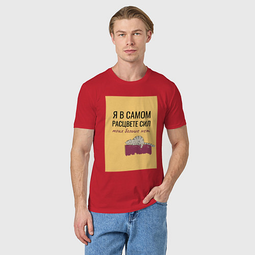 Мужская футболка Уставший кот в полном расцвете сил / Красный – фото 3