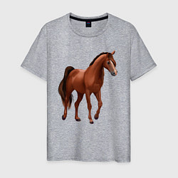 Футболка хлопковая мужская Тракененская лошадь, цвет: меланж