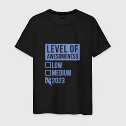 Футболка хлопковая мужская Level 2023, цвет: черный