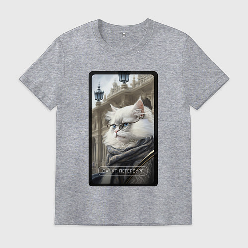 Мужская футболка Санкт-Петербург котик / Меланж – фото 1
