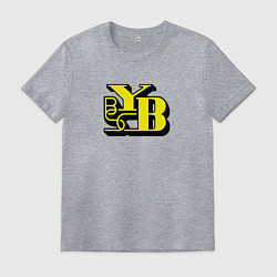 Футболка хлопковая мужская Young Boys sport fc, цвет: меланж