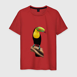 Футболка хлопковая мужская Птица тукан, цвет: красный