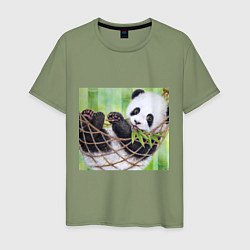 Футболка хлопковая мужская Панда медвед, цвет: авокадо
