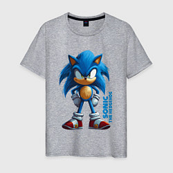 Футболка хлопковая мужская Sonic - poster style, цвет: меланж