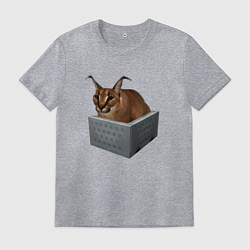 Футболка хлопковая мужская Кот блоггер Шлепа, цвет: меланж