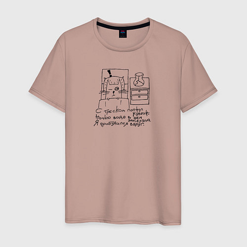 Мужская футболка Кот и кувшин - хайку / Пыльно-розовый – фото 1