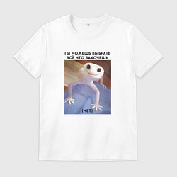 Футболка хлопковая мужская Можешь выбрать себе всё что захочешь - нет, цвет: белый