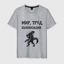Футболка хлопковая мужская Мир труд колонизация, цвет: меланж