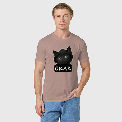 Мужская футболка Кот в капюшоне, окак, мем / Пыльно-розовый – фото 3