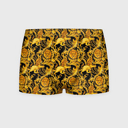 Трусы-боксеры мужские Львы золотые узоры, цвет: 3D-принт