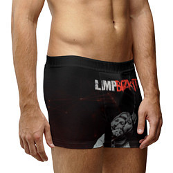 Трусы-боксеры мужские Limp Bizkit, цвет: 3D-принт — фото 2