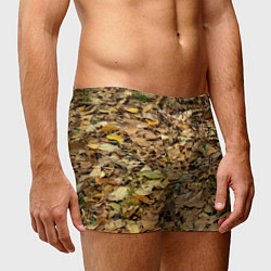 Трусы-боксеры мужские Листья, цвет: 3D-принт — фото 2