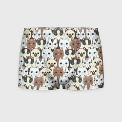 Трусы-боксеры мужские Кошачьи моськи, цвет: 3D-принт