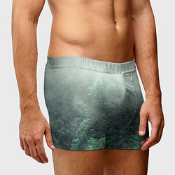 Трусы-боксеры мужские Туманный лес, цвет: 3D-принт — фото 2
