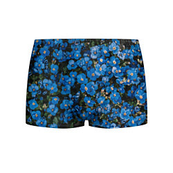Трусы-боксеры мужские Поле синих цветов фиалки лето, цвет: 3D-принт