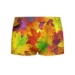 Трусы-боксеры мужские Осенние листья, цвет: 3D-принт