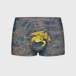 Мужские трусы Лягушка