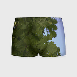 Трусы-боксеры мужские Летние дубы, цвет: 3D-принт