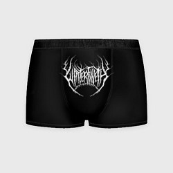 Трусы-боксеры мужские Winterfylleth, цвет: 3D-принт