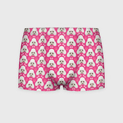Трусы-боксеры мужские Собака Пудель, цвет: 3D-принт