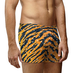 Трусы-боксеры мужские Новогодняя шкура тигра, цвет: 3D-принт — фото 2