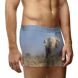 Трусы-боксеры мужские Африканский белый слон, цвет: 3D-принт — фото 2