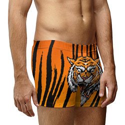 Трусы-боксеры мужские Разгневанный тигр голова, цвет: 3D-принт — фото 2
