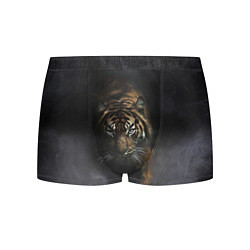 Трусы-боксеры мужские Тигр в тумане, цвет: 3D-принт